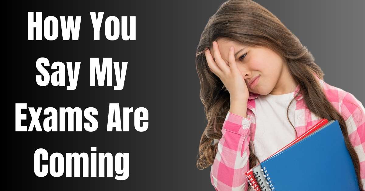 How You Say My Exams Are Coming - Guide