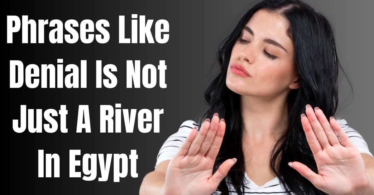 Phrases Like Denial Is Not Just A River In Egypt - Guide