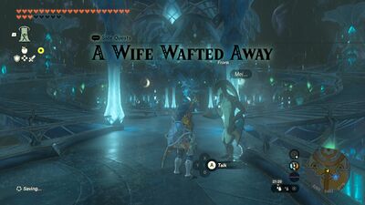 A Wife Wafted Away: The Legend of Zelda Quest Guide