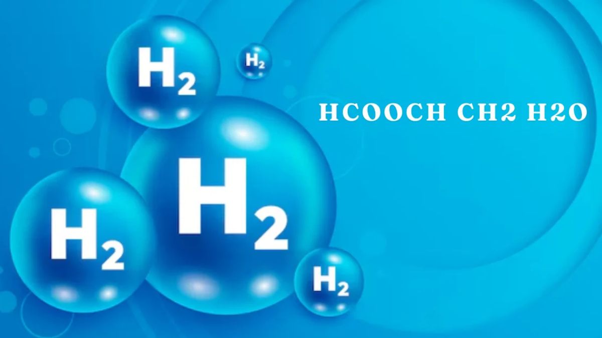 What Is HCOOCH CH2 H2O? Chemical Breakdown